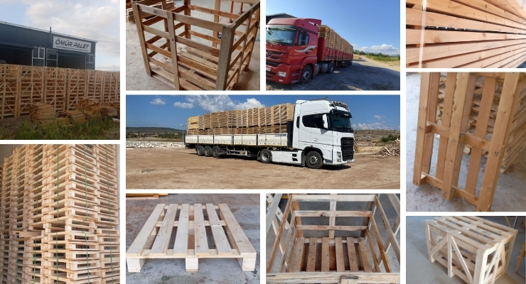 Kurucaşile Euro Palet Fiyatları